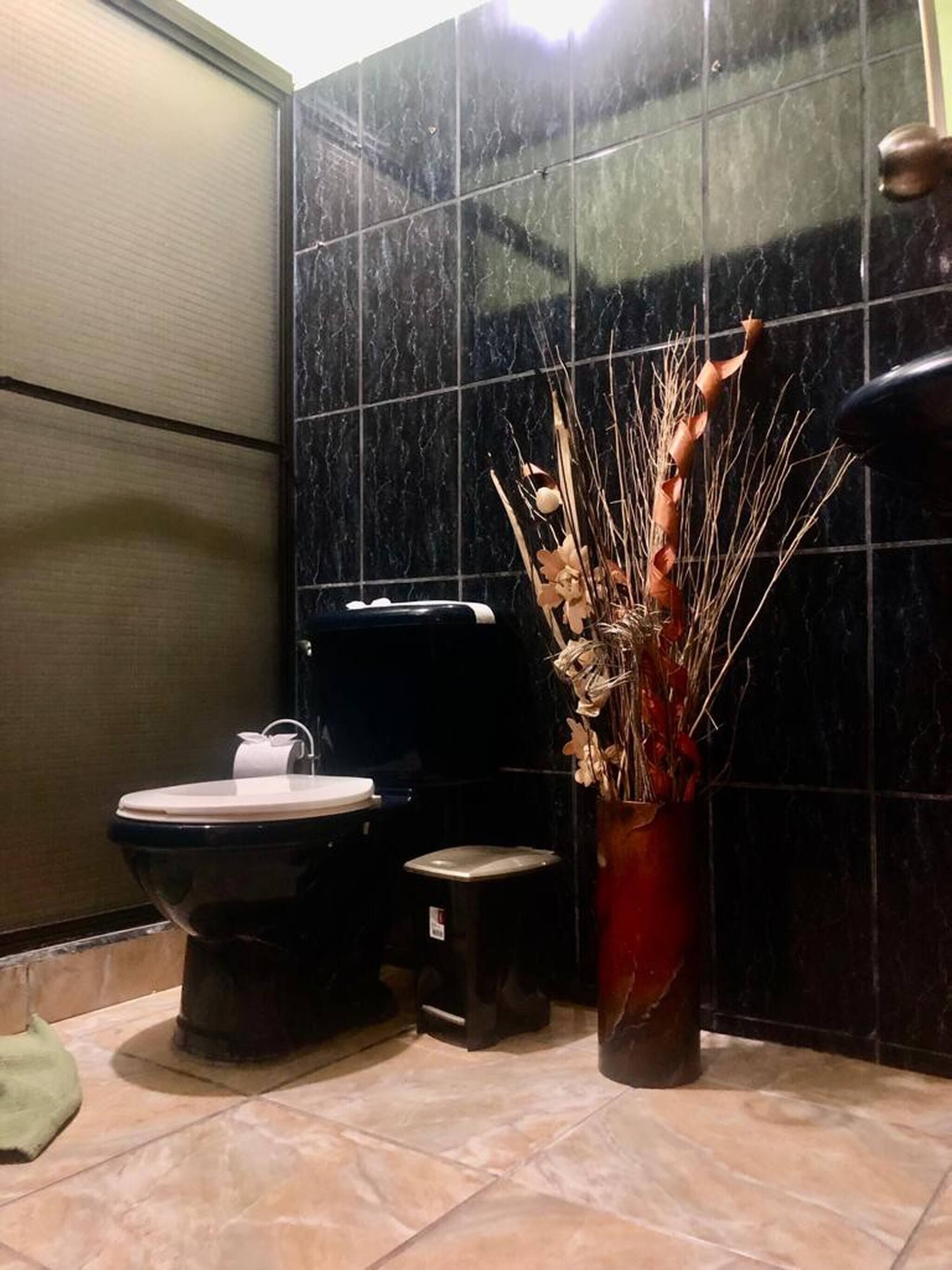 Combined shower/tub, hair dryer, towels