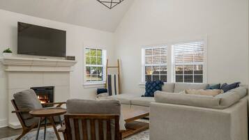 TV, fireplace, video games, books