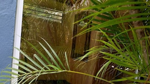 A window with a view of a water feature surrounded by green foliage. - BAS DE VILLA cosy, wooded garden with swimming pool, very quiet, town center. (Nouméa)