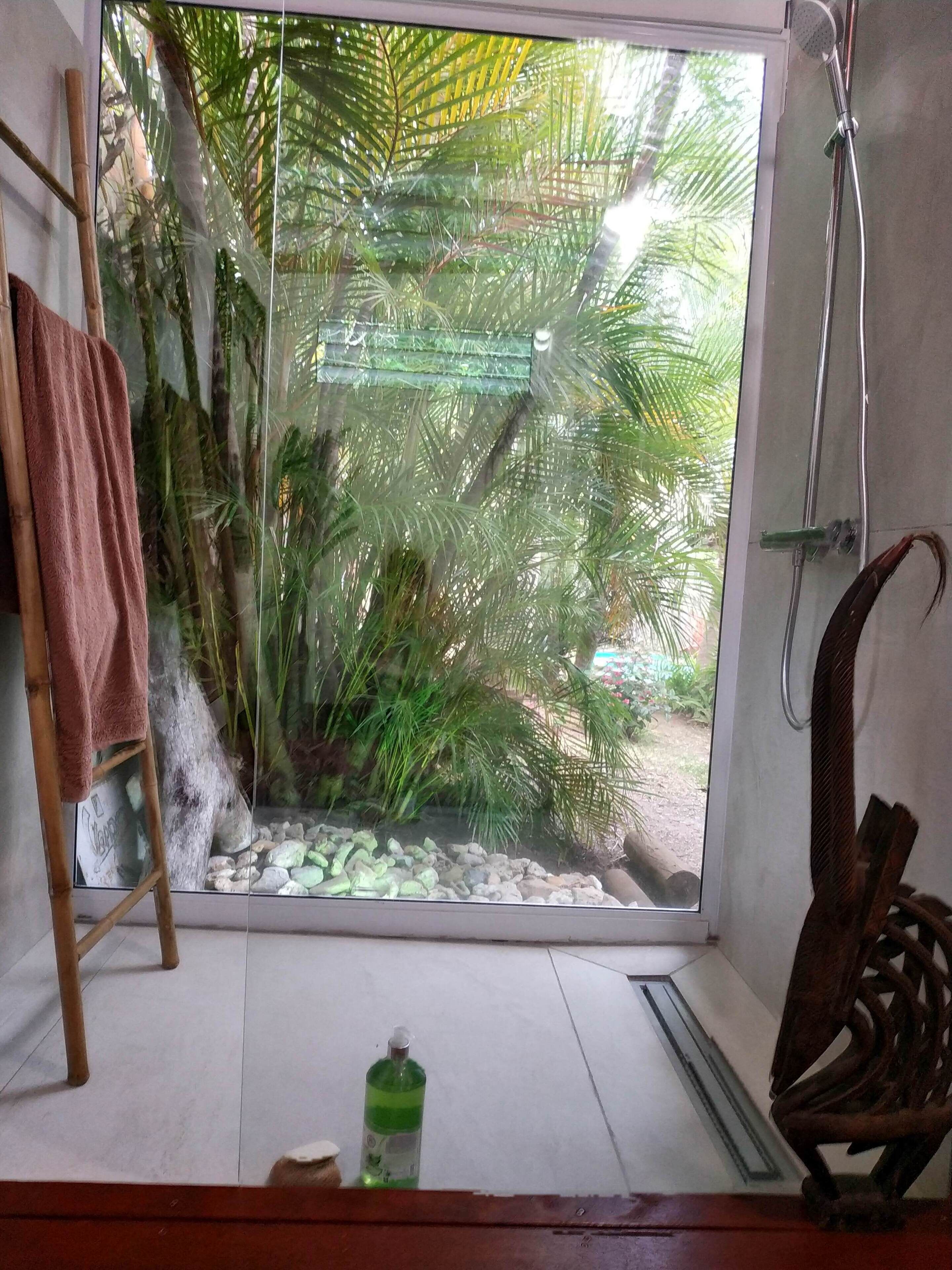 Un baño con puerta de vidrio que da a una vista tropical, ducha y banco de madera.