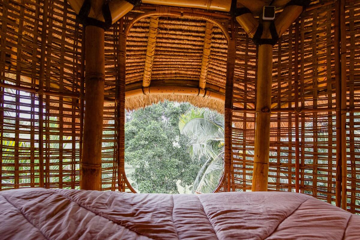 传统宿舍 (Bamboo Birdsnest Level 3 Sleeping Pod) | 免费 WiFi、特色装修、特色家居、床单