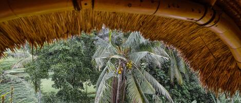 A lush indoor garden with a central palm tree and various tropical plants.