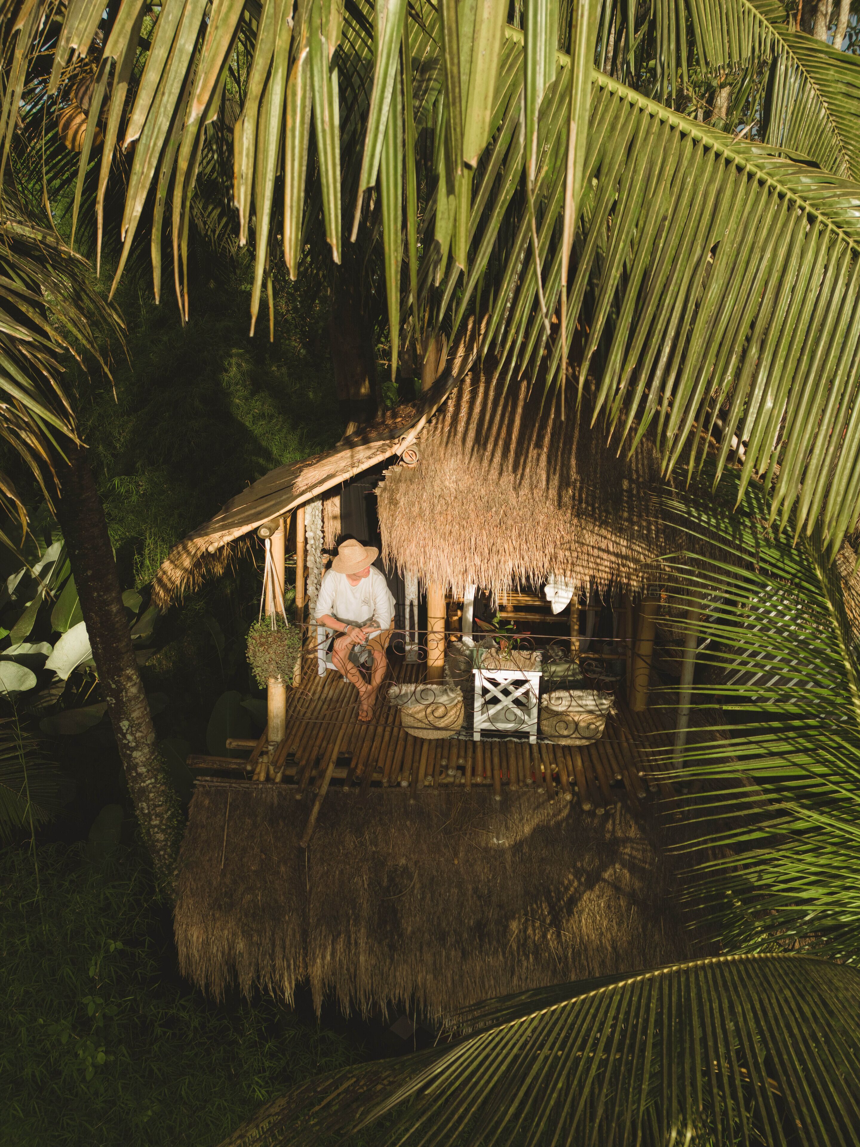 A thatched-roof hut with a person sitting inside, surrounded by palm fronds.