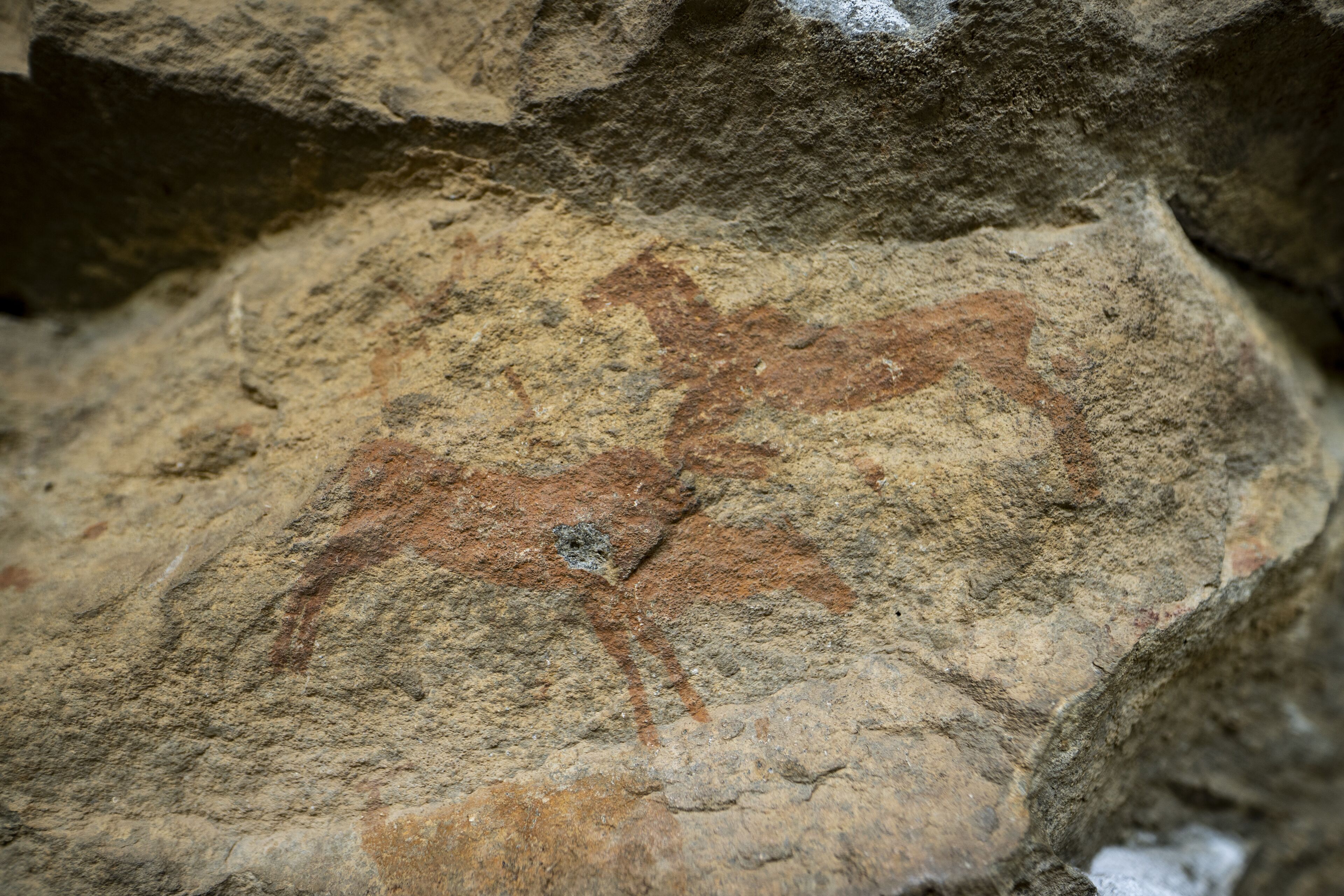 A close-up of a rock surface with ancient petroglyphs.