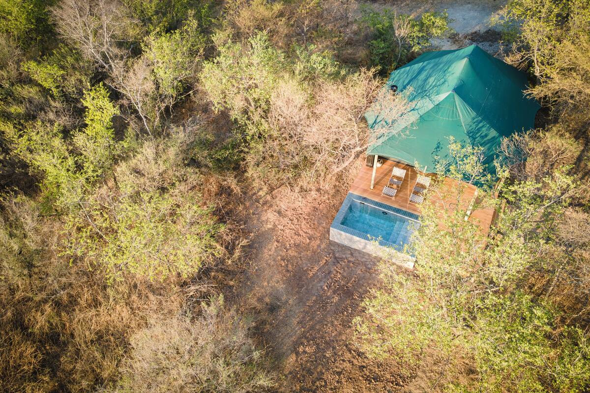 An aerial view of a house with a swimming pool surrounded by dense vegetation.