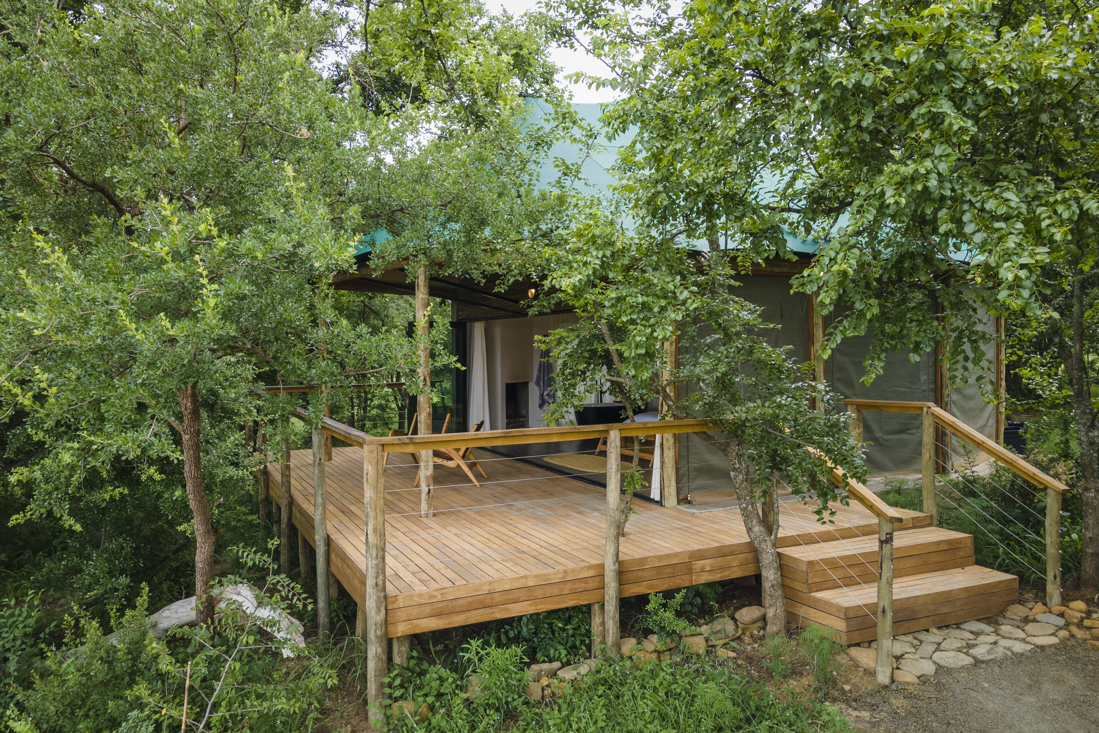 A wooden deck with steps leading to a covered area, surrounded by dense greenery.