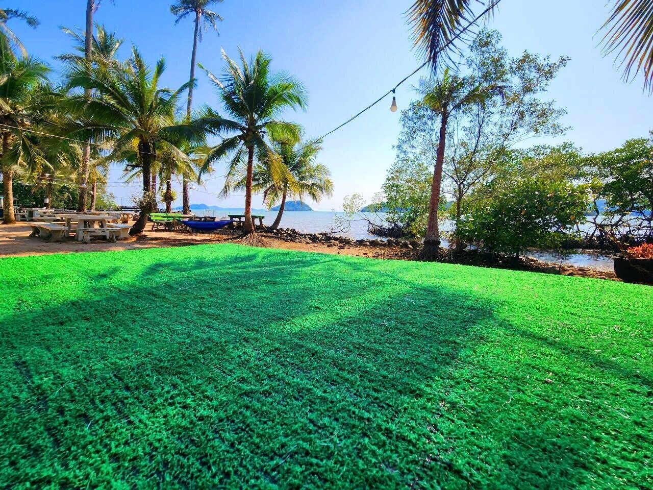A grassy area with palm trees and a view of the sea.