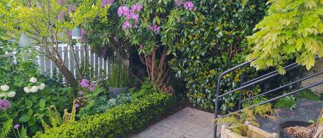 Terrain de lâhĂ©bergement