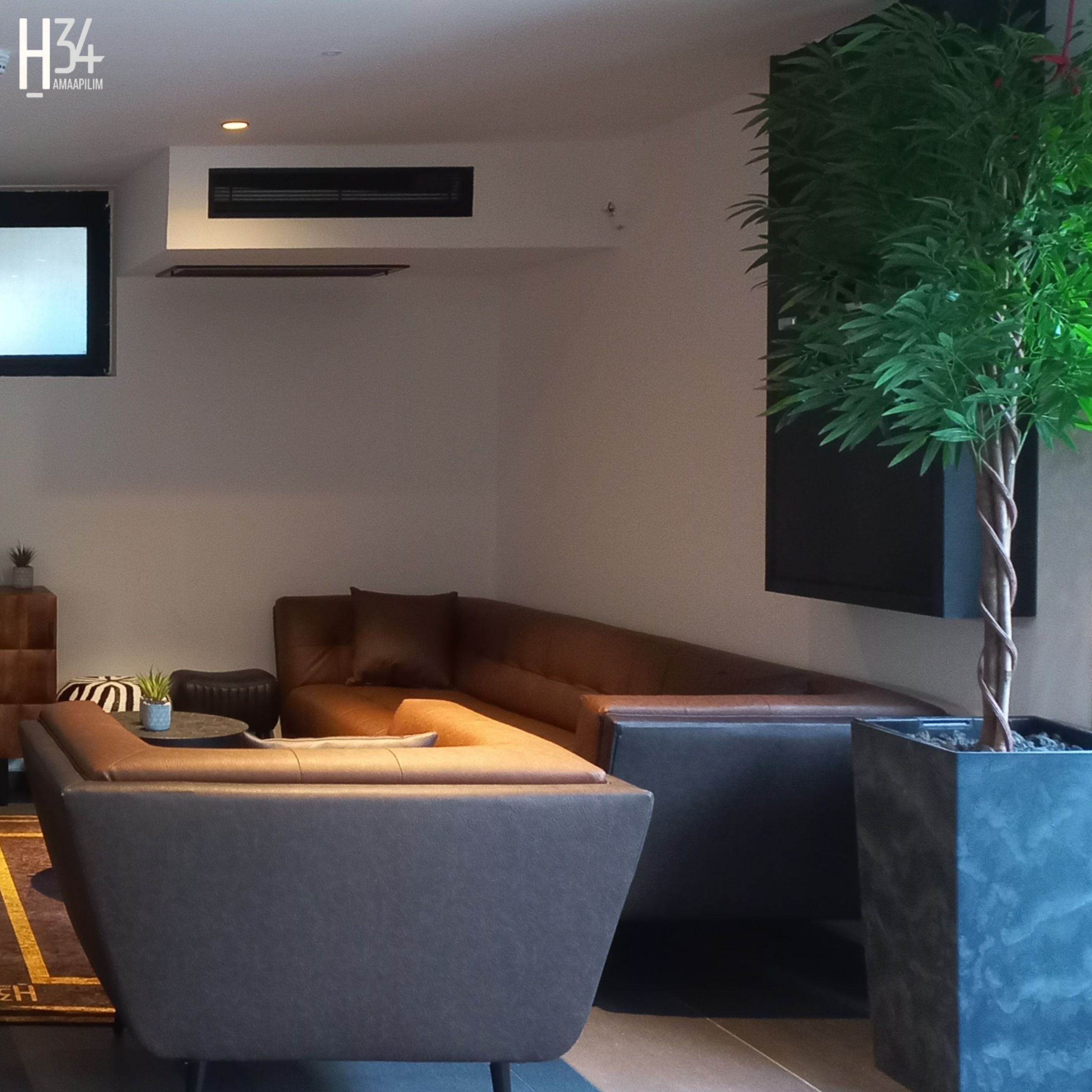Un saló modern amb un sofà modular, una taula de centre i una planta gran en test.