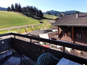 Property grounds - Renovated apartment at ski slopes with parking and wifi, 3 bedrooms (Les Gets)