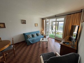 TV - Calm 2BR with terrace, AC and parking near beach (Saint-Cyprien)