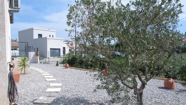A courtyard with a gravel path, olive trees, and potted plants.
