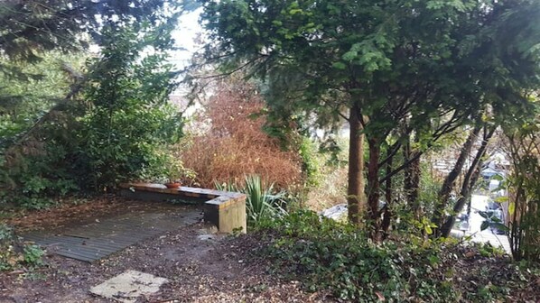 Property grounds - Bright modern house in the woods (Saint-Germain-en-Laye)