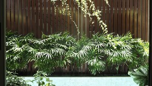 Un espace aménagé au bord de la piscine, avec une table et des chaises en bois, entouré d’une végétation luxuriante et délimité par une clôture en bois.