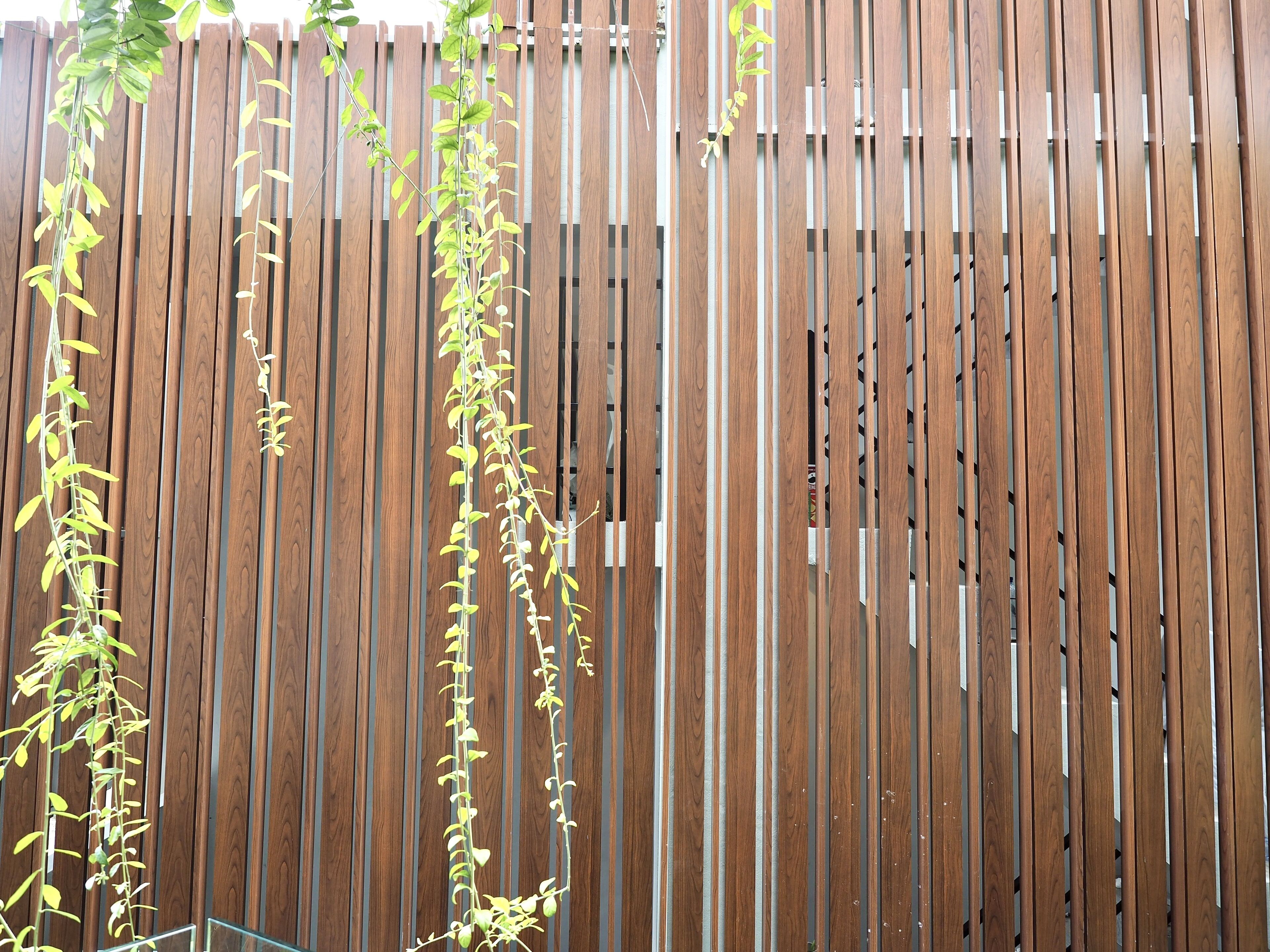 A wooden fence with vertical slats and climbing plants.
