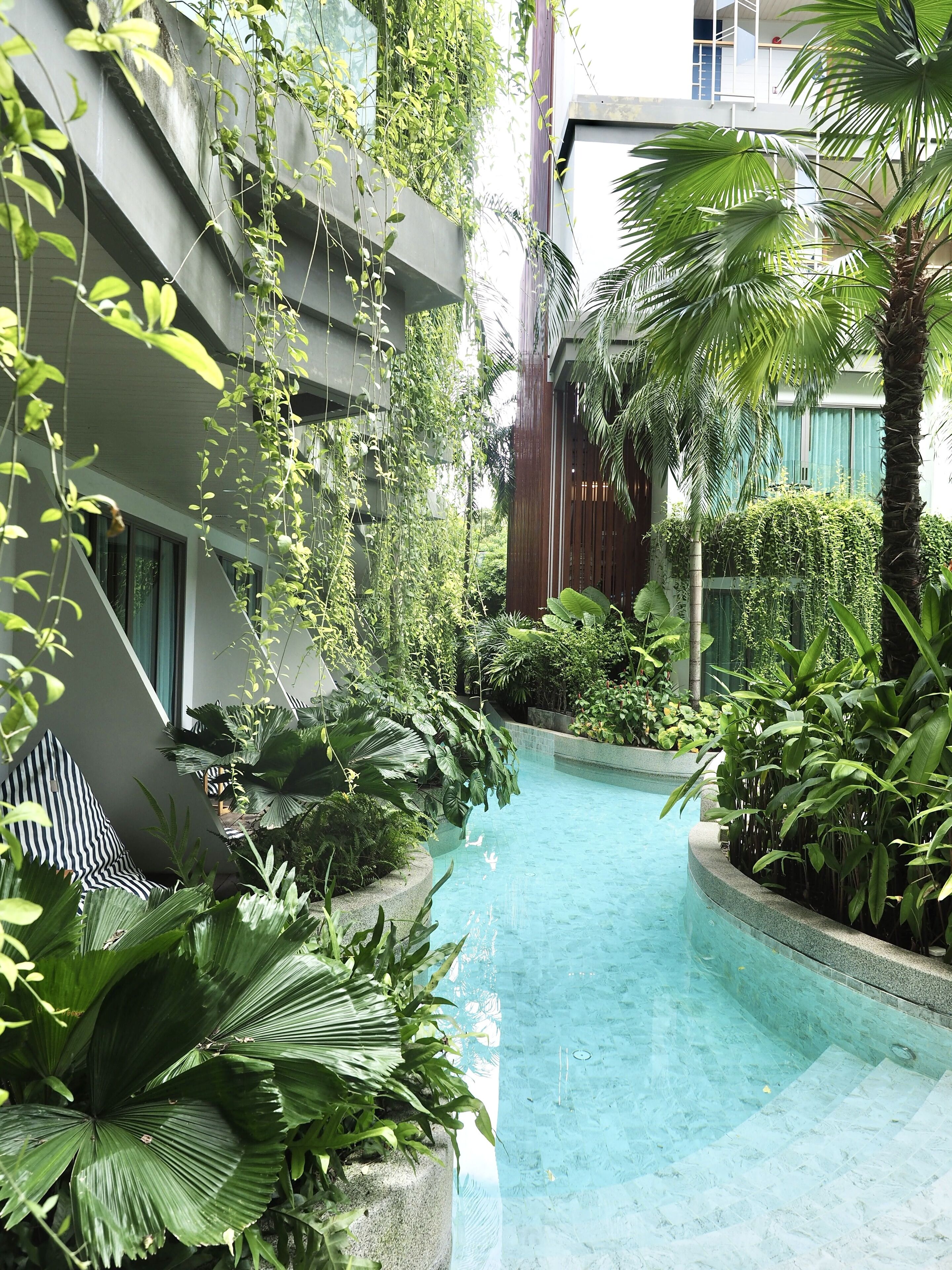 Una piscina rodeada de exuberante vegetación y arquitectura moderna.
