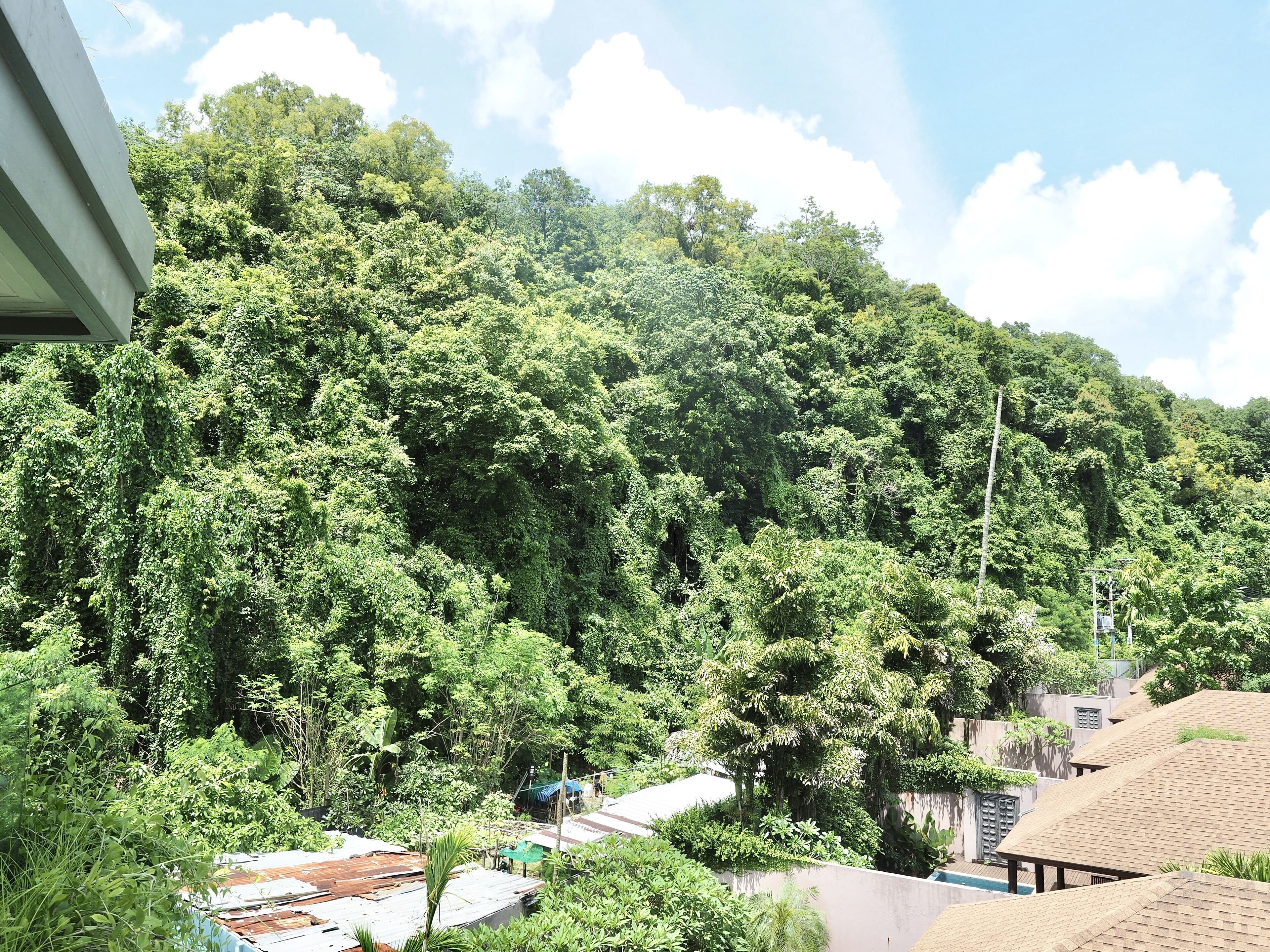 Photo - Panwaburi Beachfront Resort - SHA Extra Plus