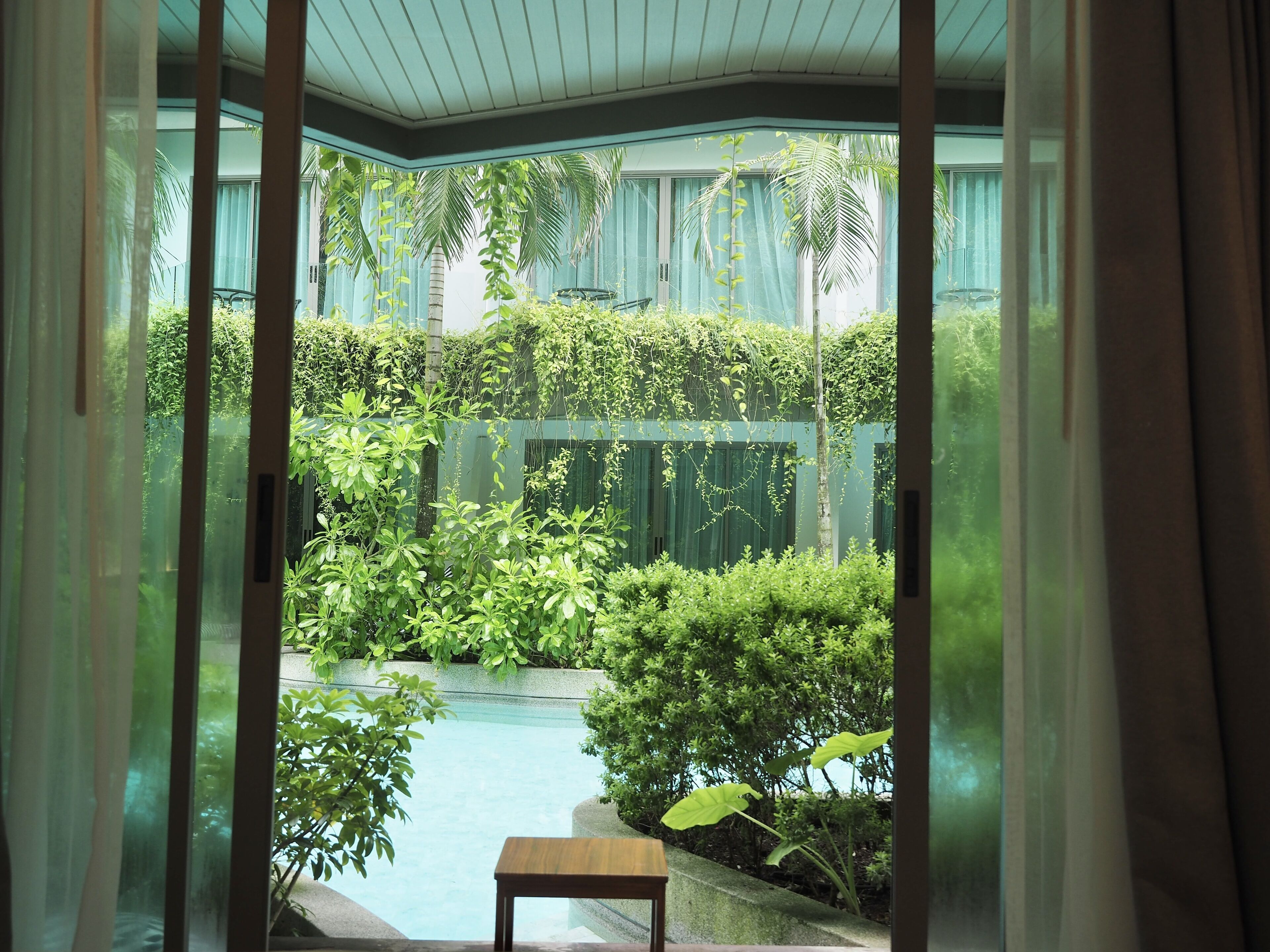 Vista de un exuberante jardín interior con una pequeña piscina y una mesa de madera.