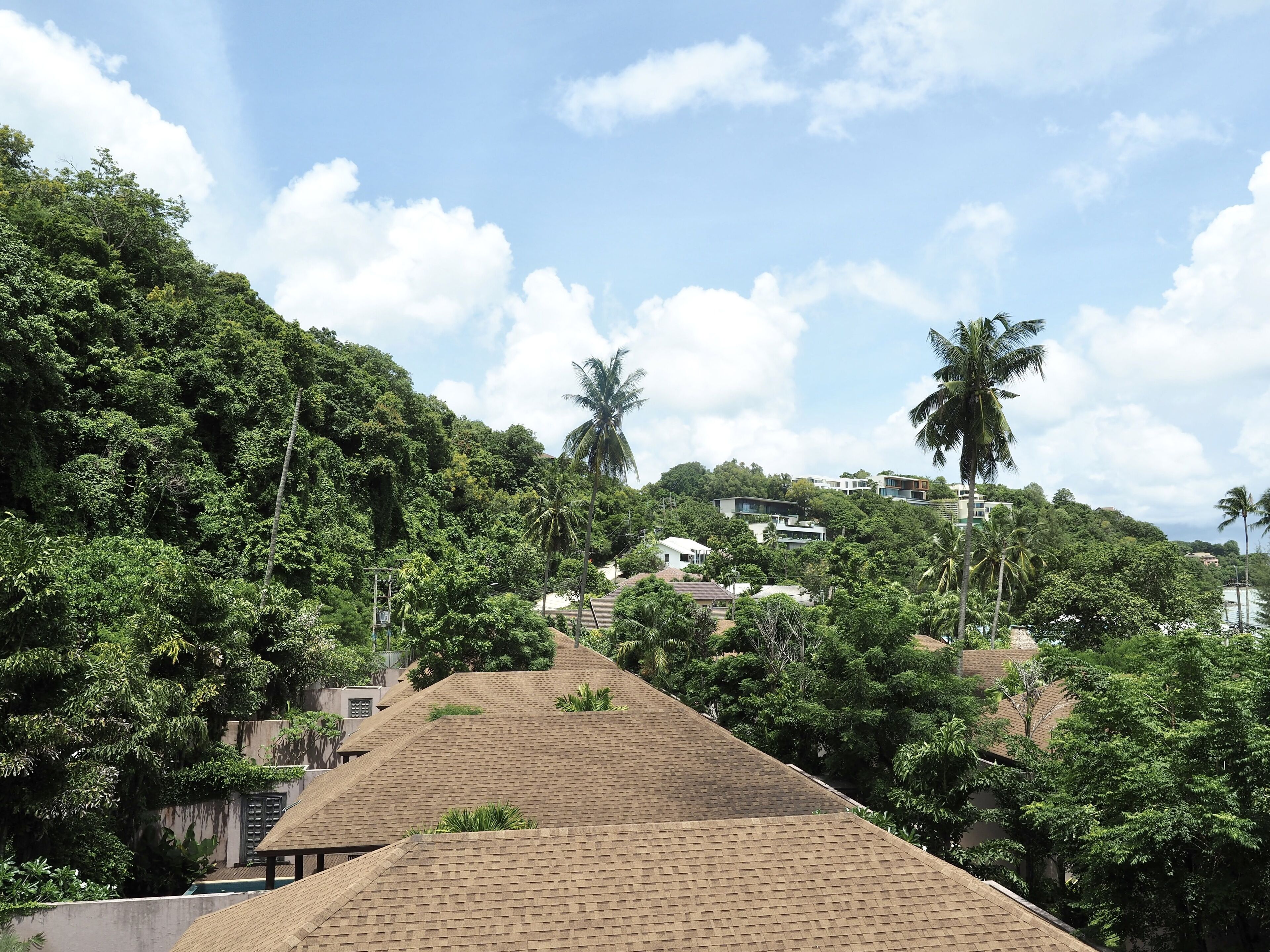 Photo - Panwaburi Beachfront Resort - SHA Extra Plus