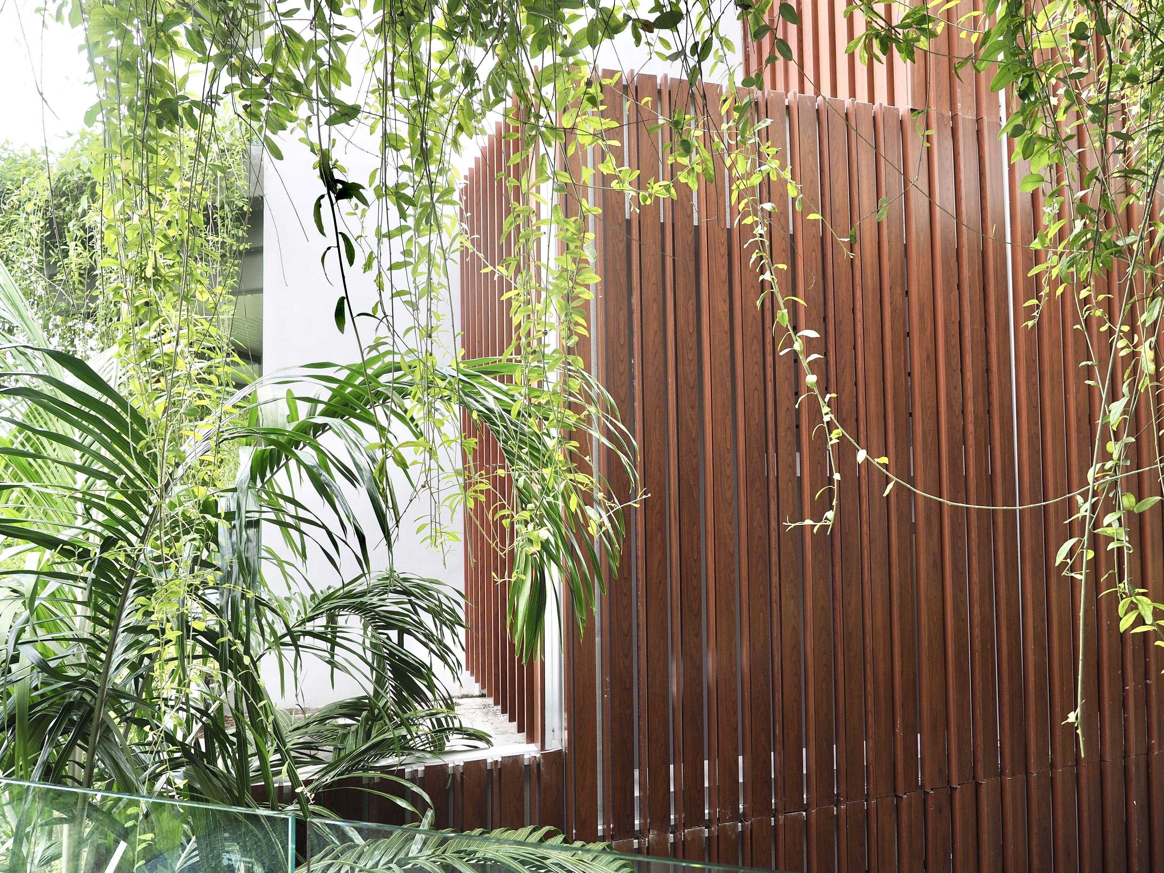 Photo - Panwaburi Beachfront Resort - SHA Extra Plus