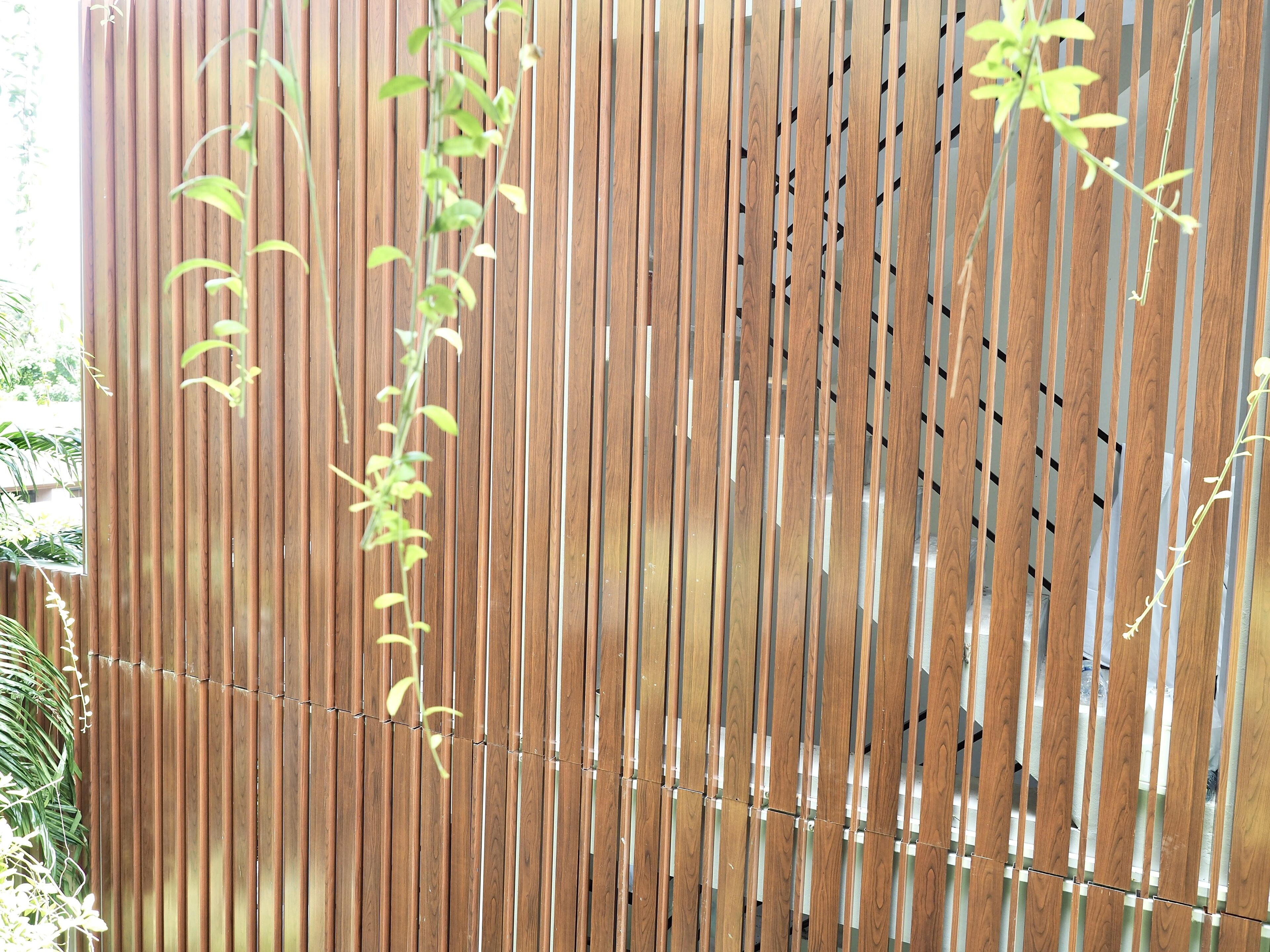 Une clôture en bois composée de lattes verticales et d’un treillis métallique.