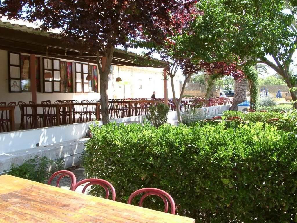 Photo - Fonda Las Palmeras