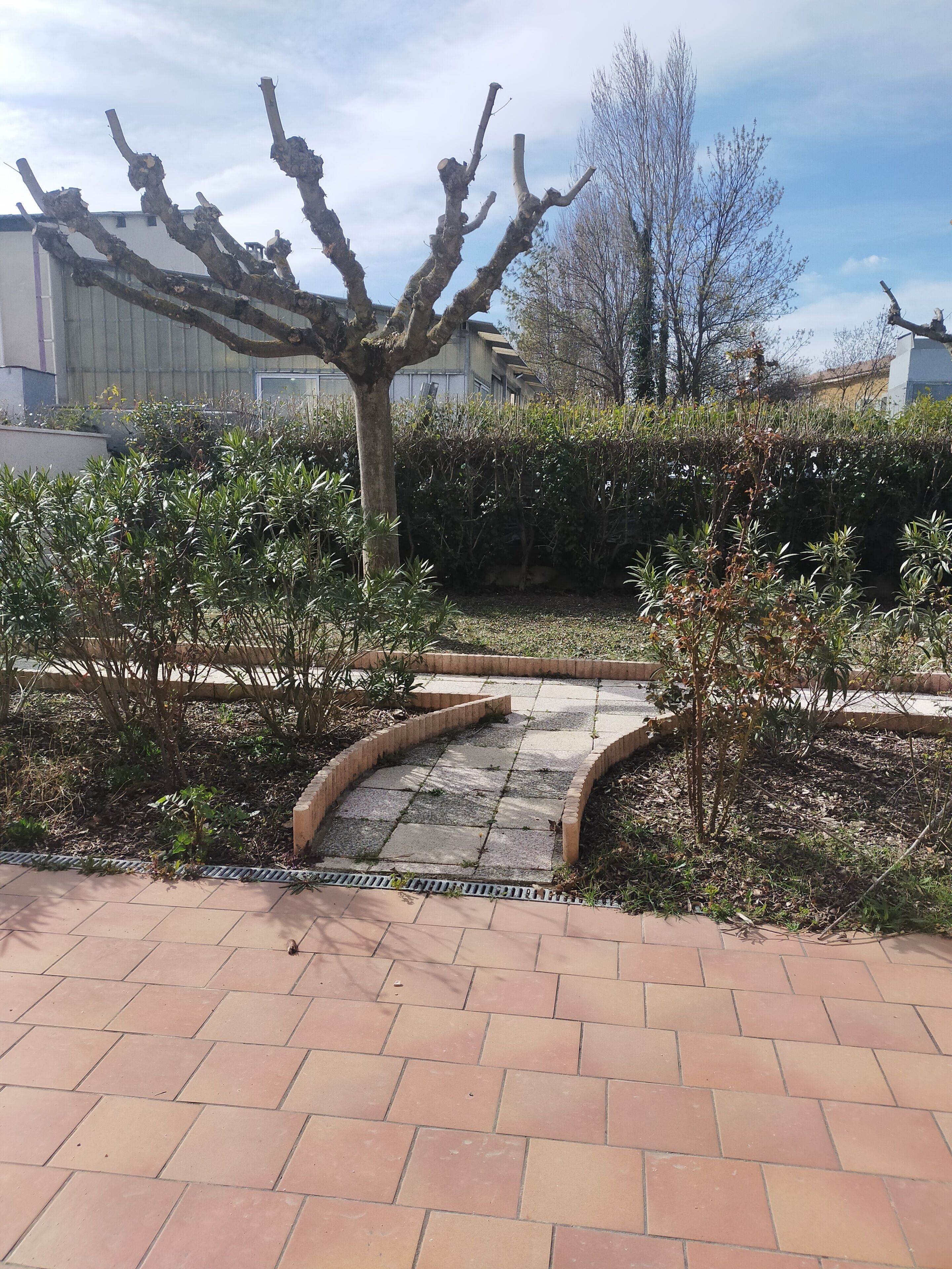 Een verhard pad dat leidt naar een gebied met bomen, een haag en een gebouw op de achtergrond.