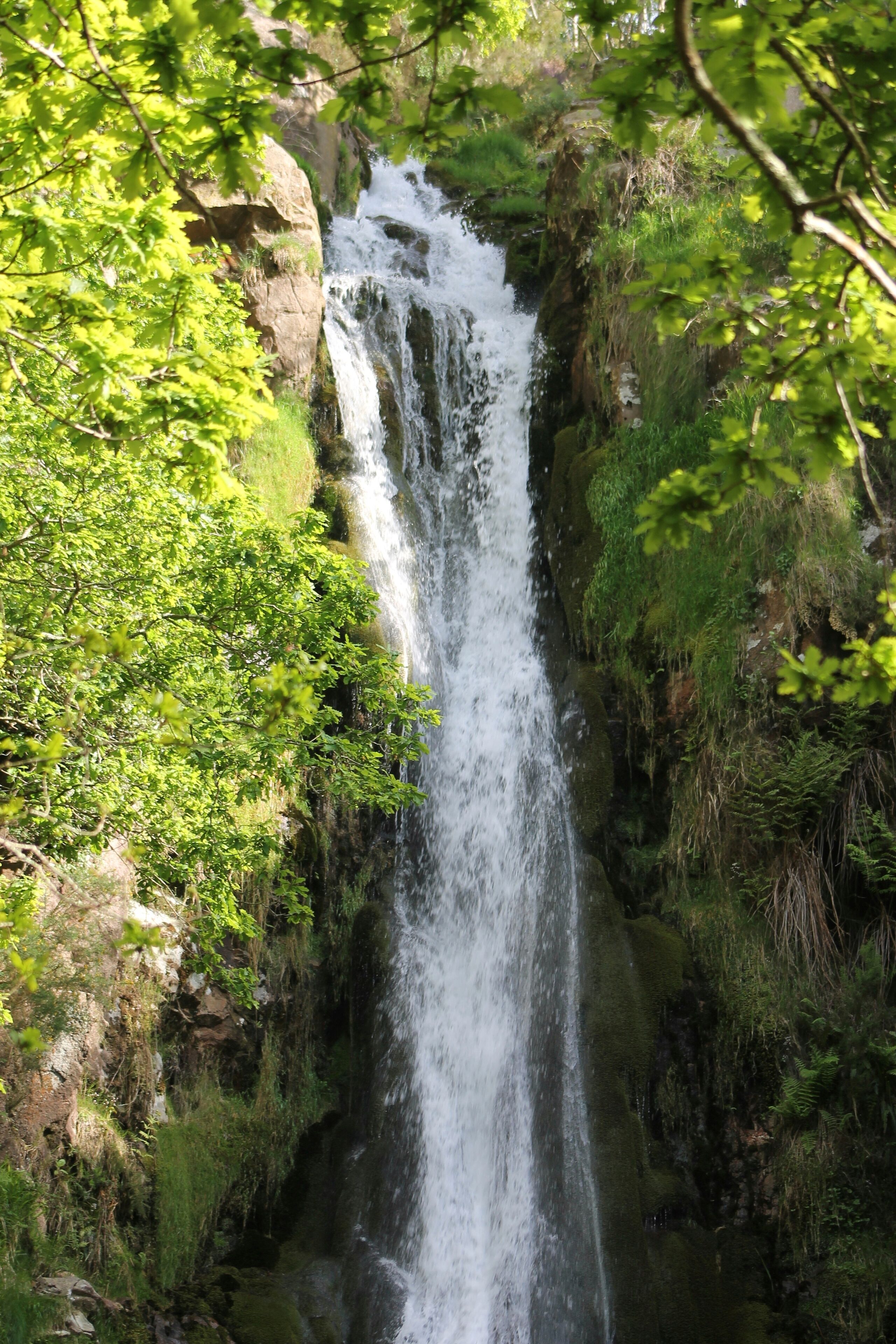 Eksteriør