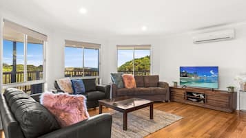 TV, ping pong, books, video library