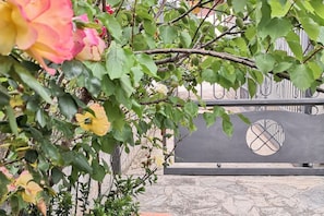 Detalhe da fachada