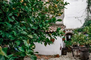 Property grounds - Giardino dei Limoni Apartment (Oliena)