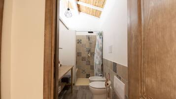 Shower, hair dryer, bidet, towels