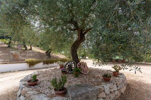 Property grounds - Villa L'Oleandro with pool and A/C (Oliena)