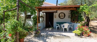 Villa L'Oliveto in the countryside