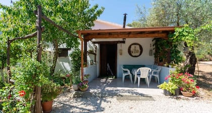 Villa L'Oliveto dans la nature