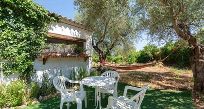 Villa L'Oliveto in the countryside