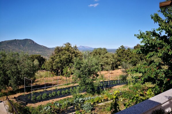 Property grounds - Villa Sa Pruna with Wi_Fi (Oliena)