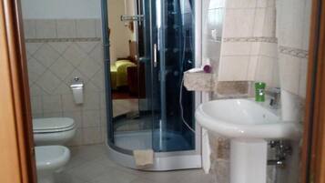 Shower, hair dryer, bidet, towels