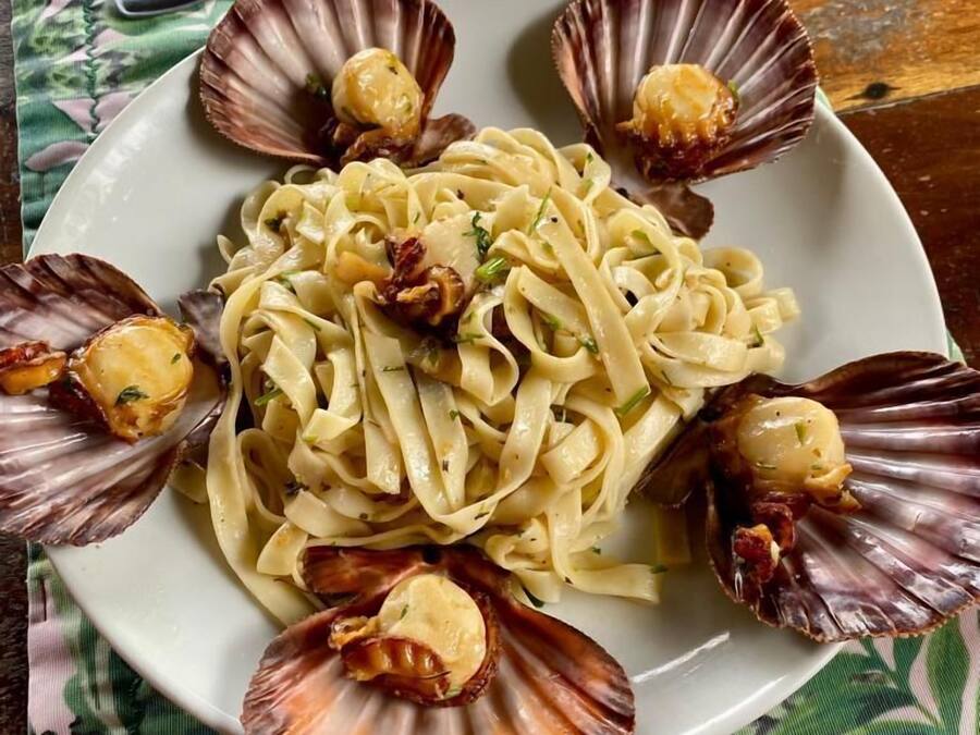 Un plato de pasta con vieiras sobre una mesa con mantel verde y blanco.