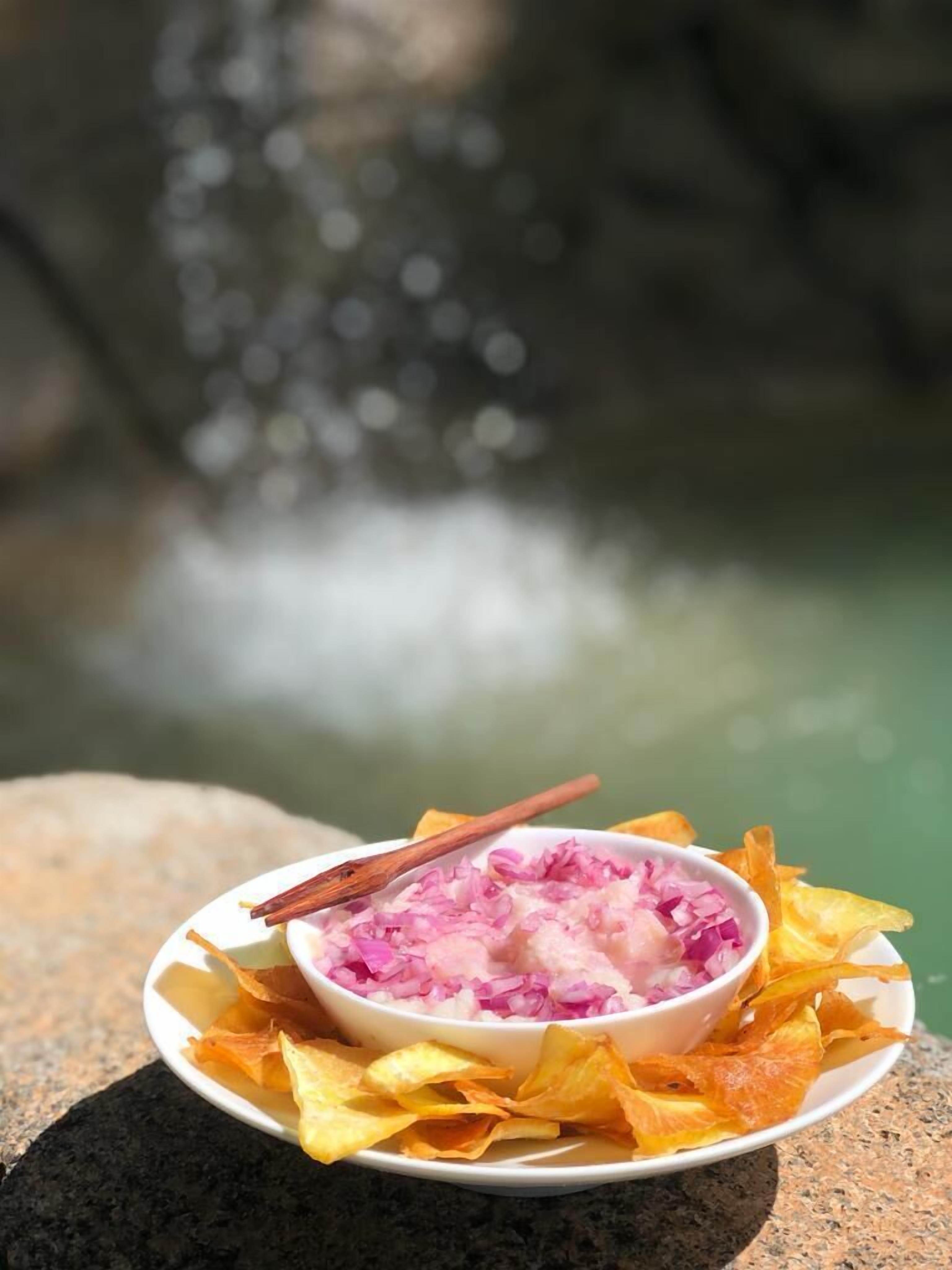 A bowl of pink pickled vegetables and orange chips on a plate, with a wooden stick, set against a blurred background of a water feature.
