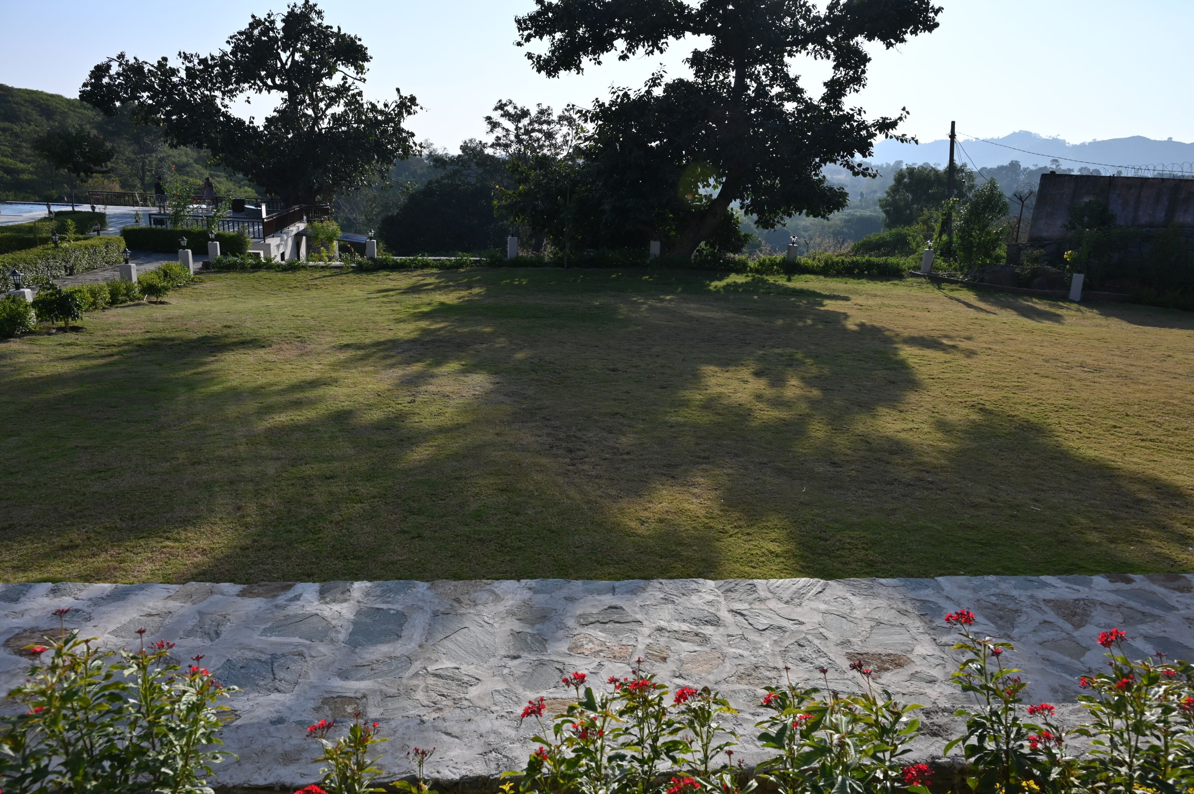 Un espacio al aire libre con césped, árboles y un muro de piedra.