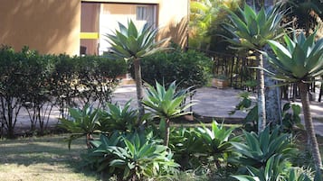 Jardín