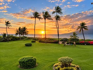 A well-manicured lawn with palm trees and a view of the ocean at sunset.