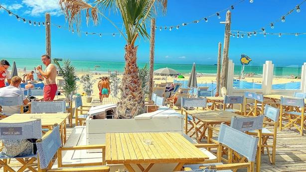 A beachside restaurant with outdoor seating, palm trees, and a view of the beach.