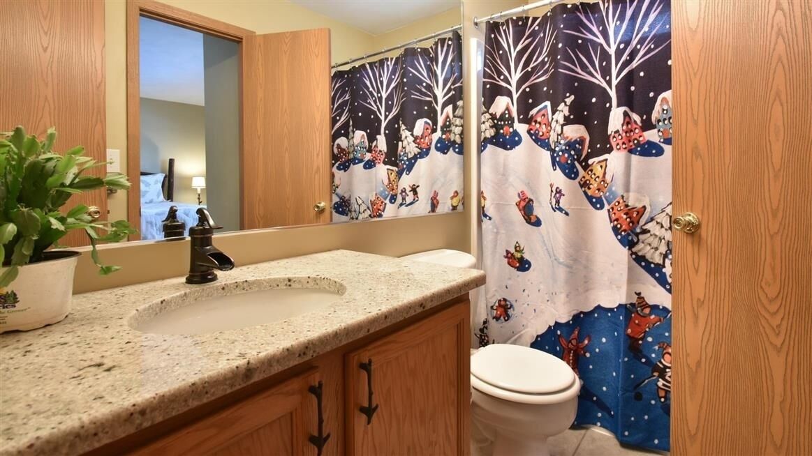 Une salle de bain avec un meuble-lavabo en bois, un évier, des toilettes et un rideau de douche orné d’un motif représentant un paysage hivernal.