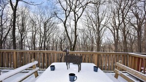 Une terrasse en bois avec une table et des bancs recouverts de neige, entourée d’arbres sans feuilles.