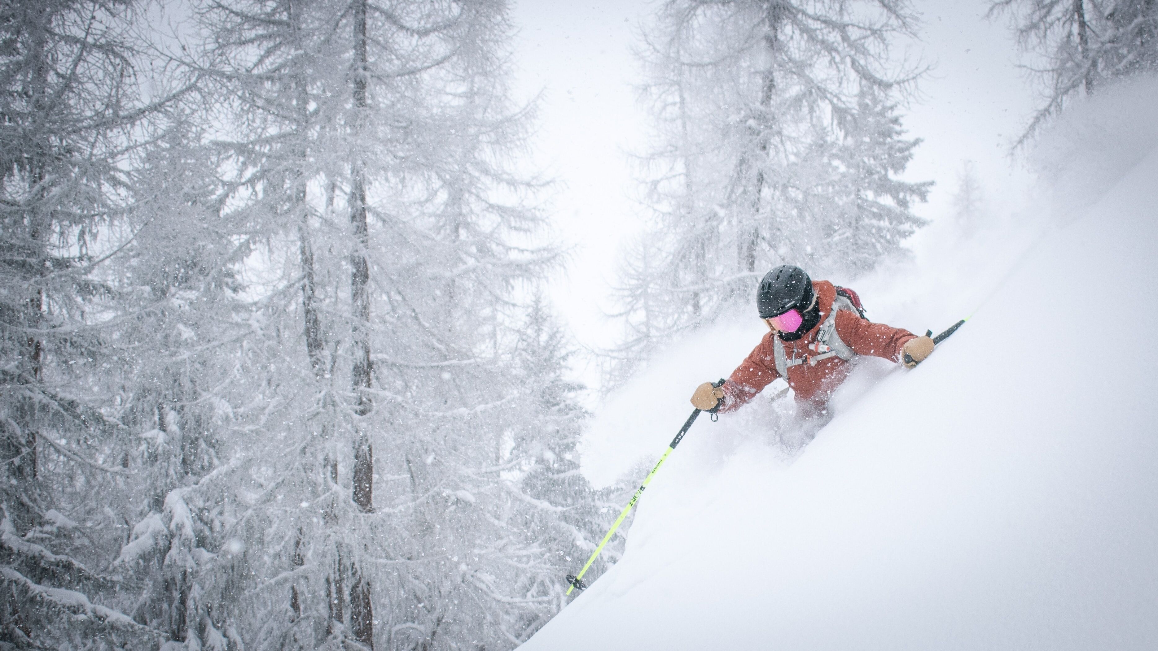 A skier in motion, surrounded by snowy trees.