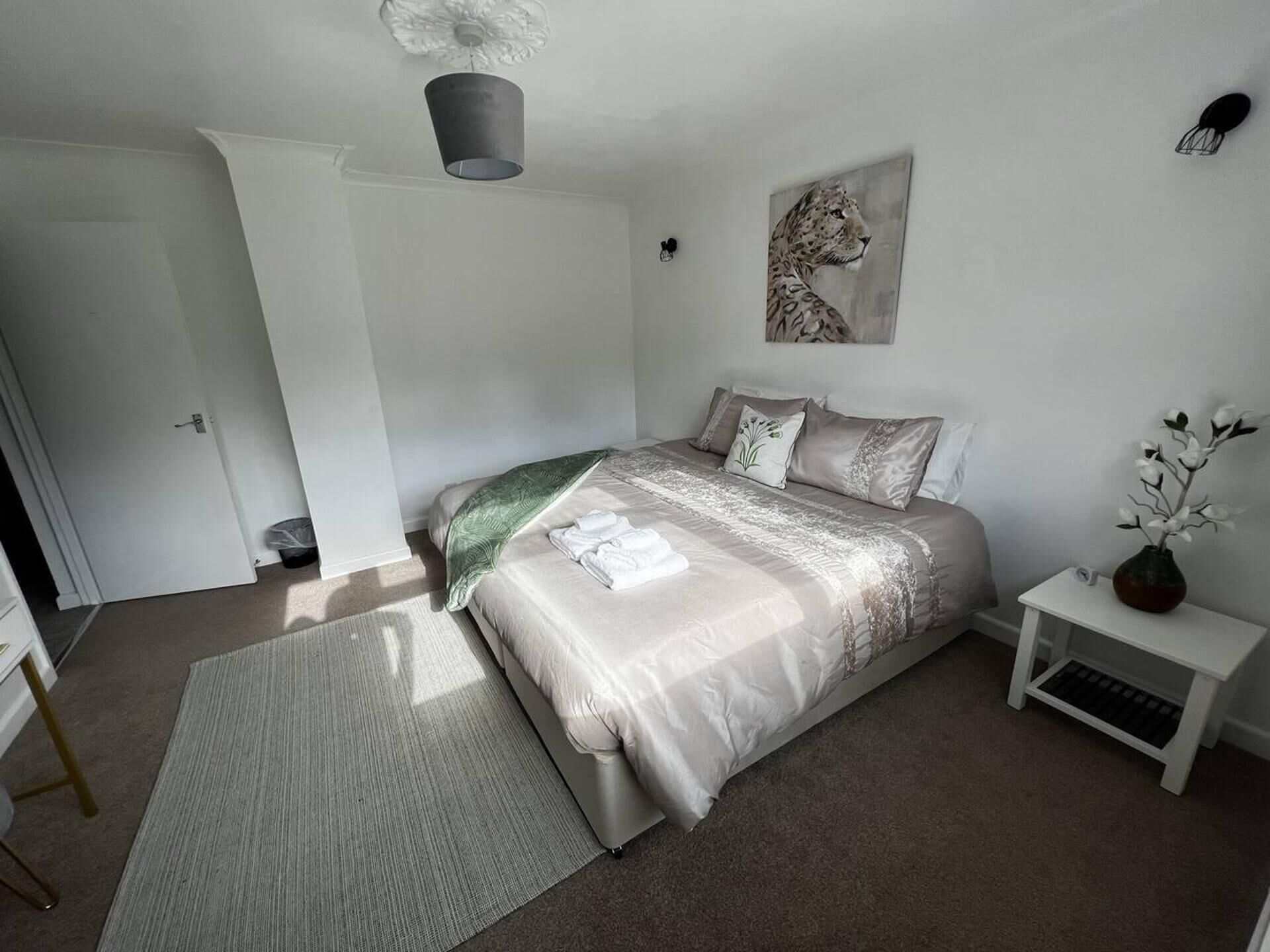 A bedroom with a bed, a bedside table, a nightstand, a rug, a door, and a ceiling light fixture.