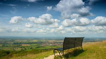 House | Property grounds