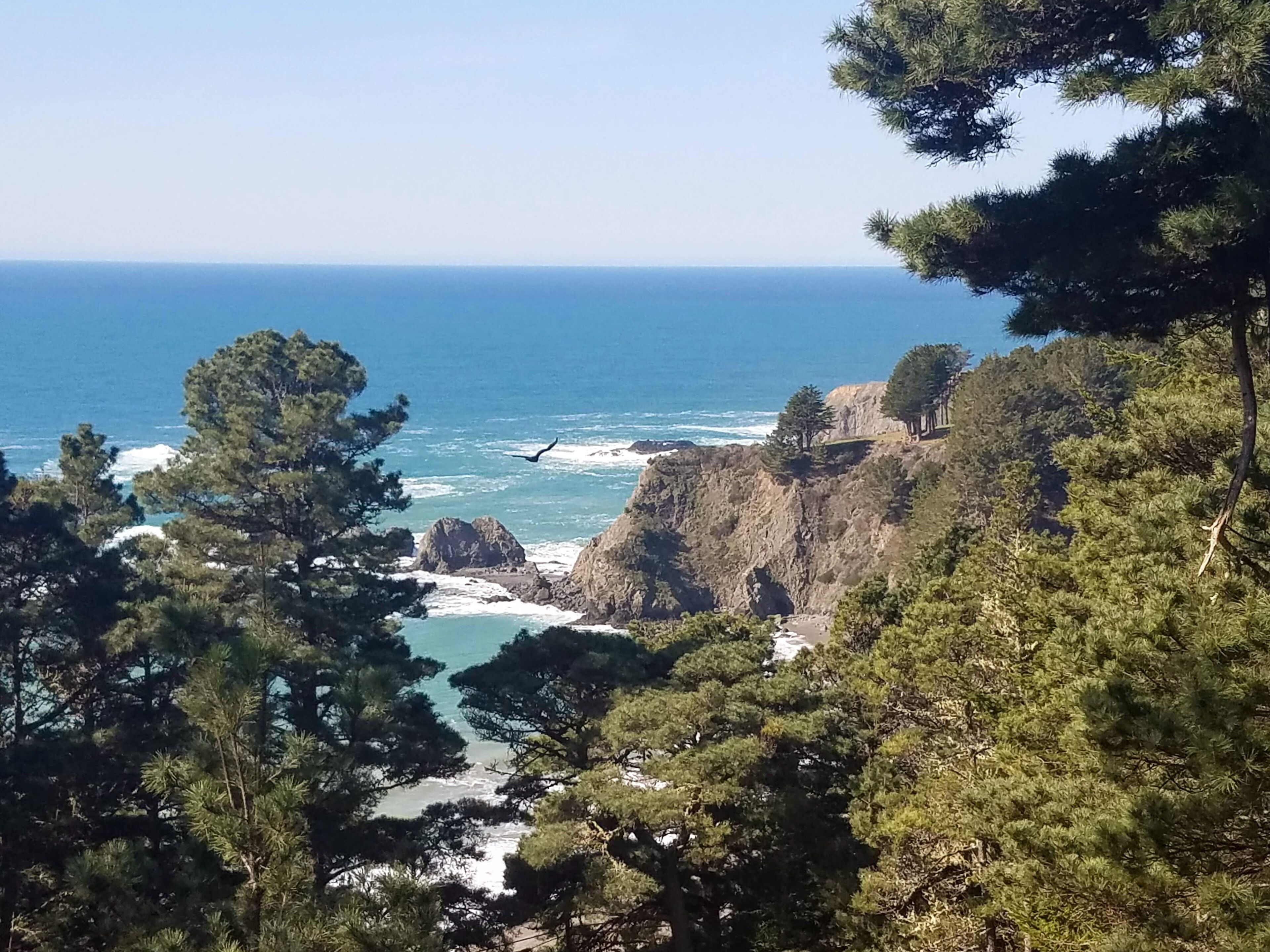 NEW! Experience the awe-inspiring views over the rugged Pacific Ocean.